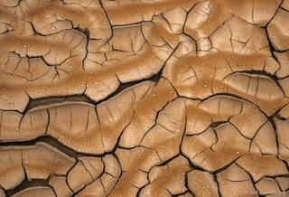 Rain Drop Pstterns on Dried Mud #1