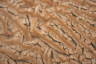 Rain Drop Pstterns on Dried Mud #2