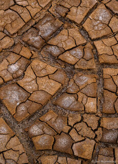 Dried Mud Brownies