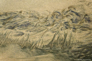 Sand Patterns #8