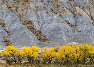 Fall Near Hanksville