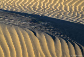 Curve of a Dune