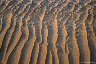 Wind Patterns in Sand #1