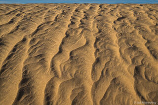 Wind Patterns in Sand #2
