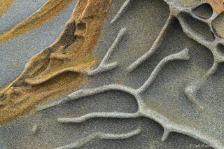 Sandstone Bones