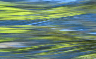 River In Motion