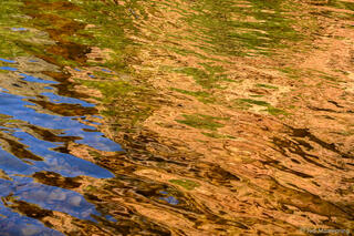 Salt Creek Reflections