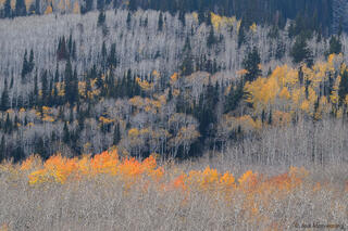 Fall in Wasatch Range