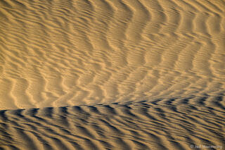 Light and Dark Sands
