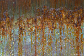 Living Rust Plants