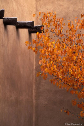 Extraordinary Everyday Photography